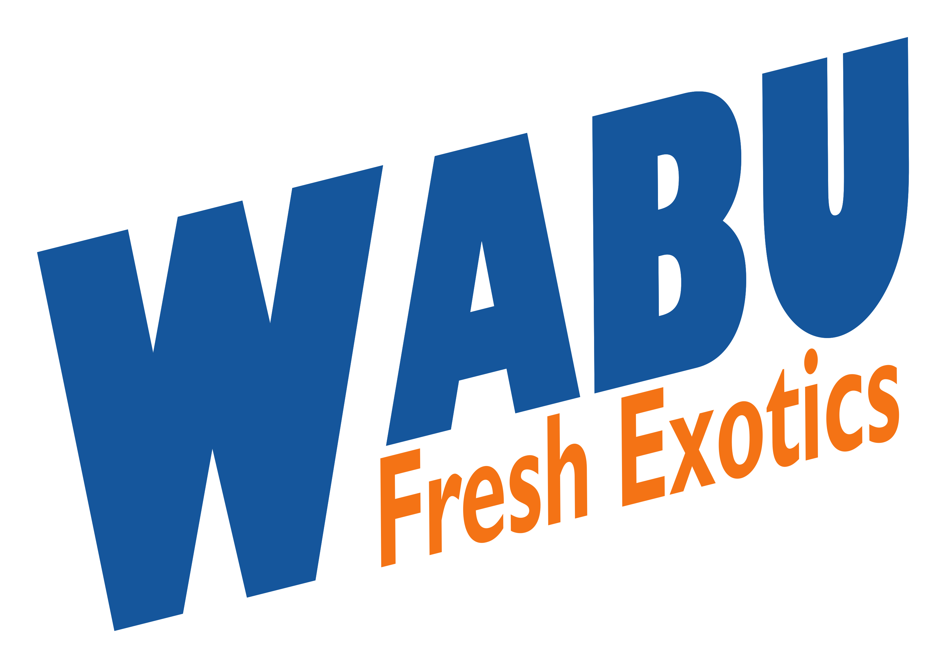 Wabu - Fresh Exotics