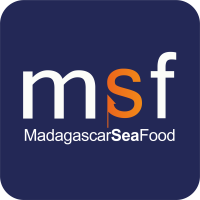 MSF