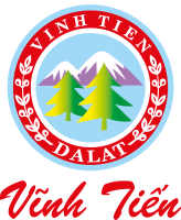 VINH TIEN