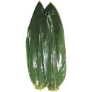 Bamboe Bladeren Vers 8 cm