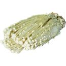 Enoki Paddenstoel