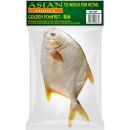 Gouden Pomfret  WR IWP 400/600