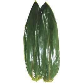 Bamboe Bladeren 8 cm