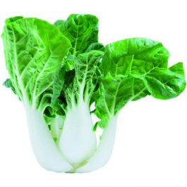 Pak Choi Mini