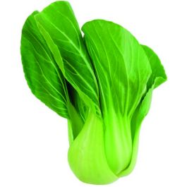 Shanghai Pak Choi