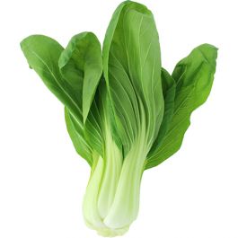 Shanghai Pak Choi
