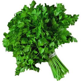 Parsley Leaf