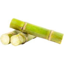 Sugar Cane