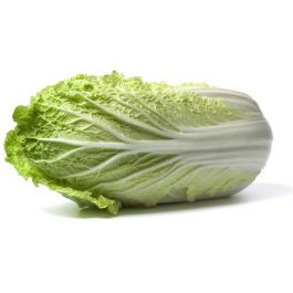 Chinese Cabbage