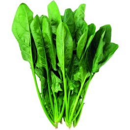 Poi Choi