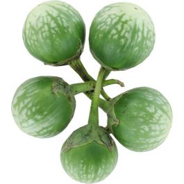 Eggplant Green
