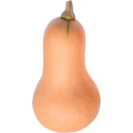 Bottle Pumpkin