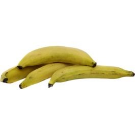 Plantain Yellow