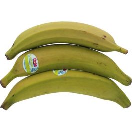 Bakbanaan Geel