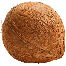 Kokosnuss Braun