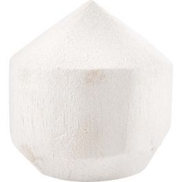 Kokosnuss Weiß Jung