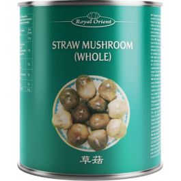 Stropaddestoelen