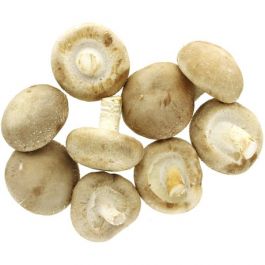 Shiitake
