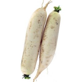 Radish White