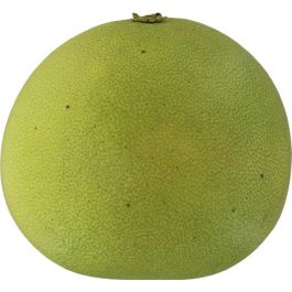 Pomelo Rot
