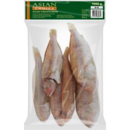 Valse Snapper W/C 8/12