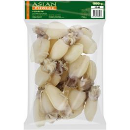 Baby Cuttlefish W/C 20/40