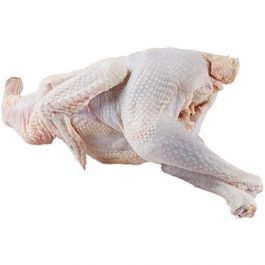 Jonge Haan (Halal)