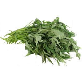 Aardappelblad Matembele