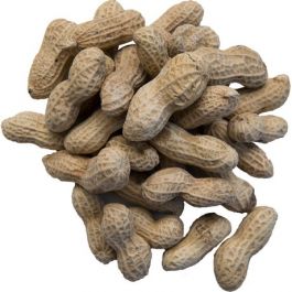Peanuts