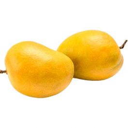 Mango Alphanso