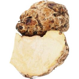 Suran (Olifanten Yams)