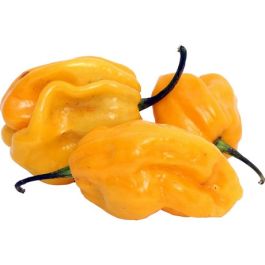 Habanero Yellow